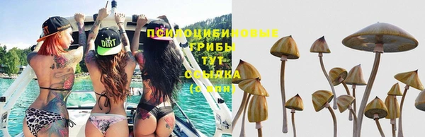 гашик Армянск